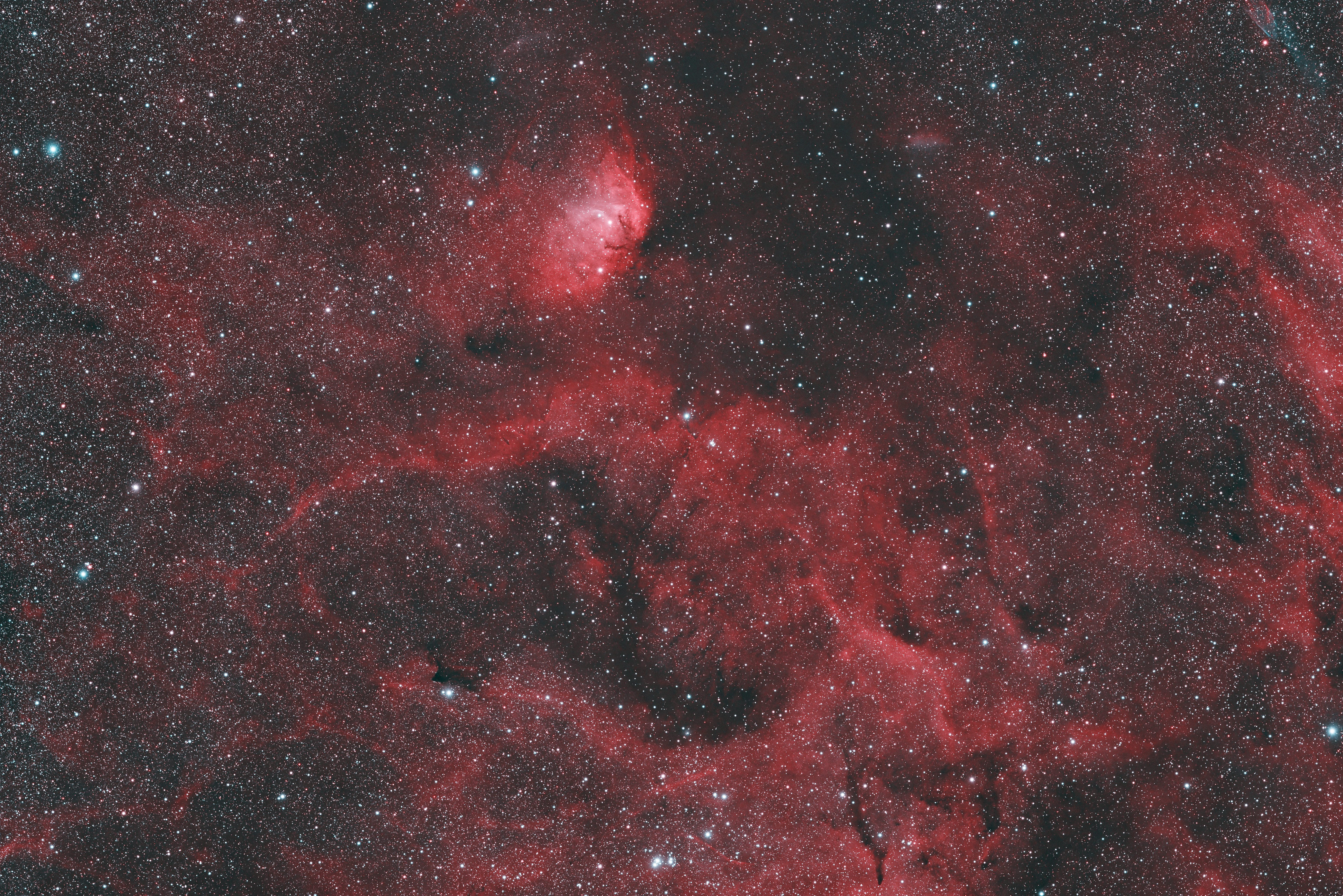 Cygnus Star Cloud