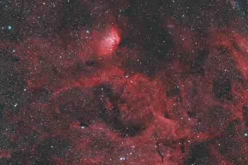Cygnus Star Cloud