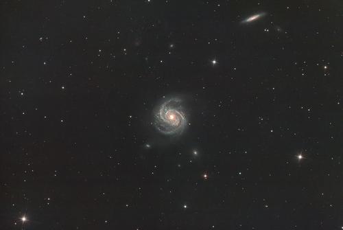 M 100