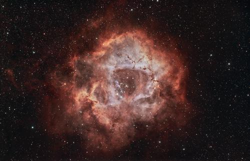 Rosette Nebula