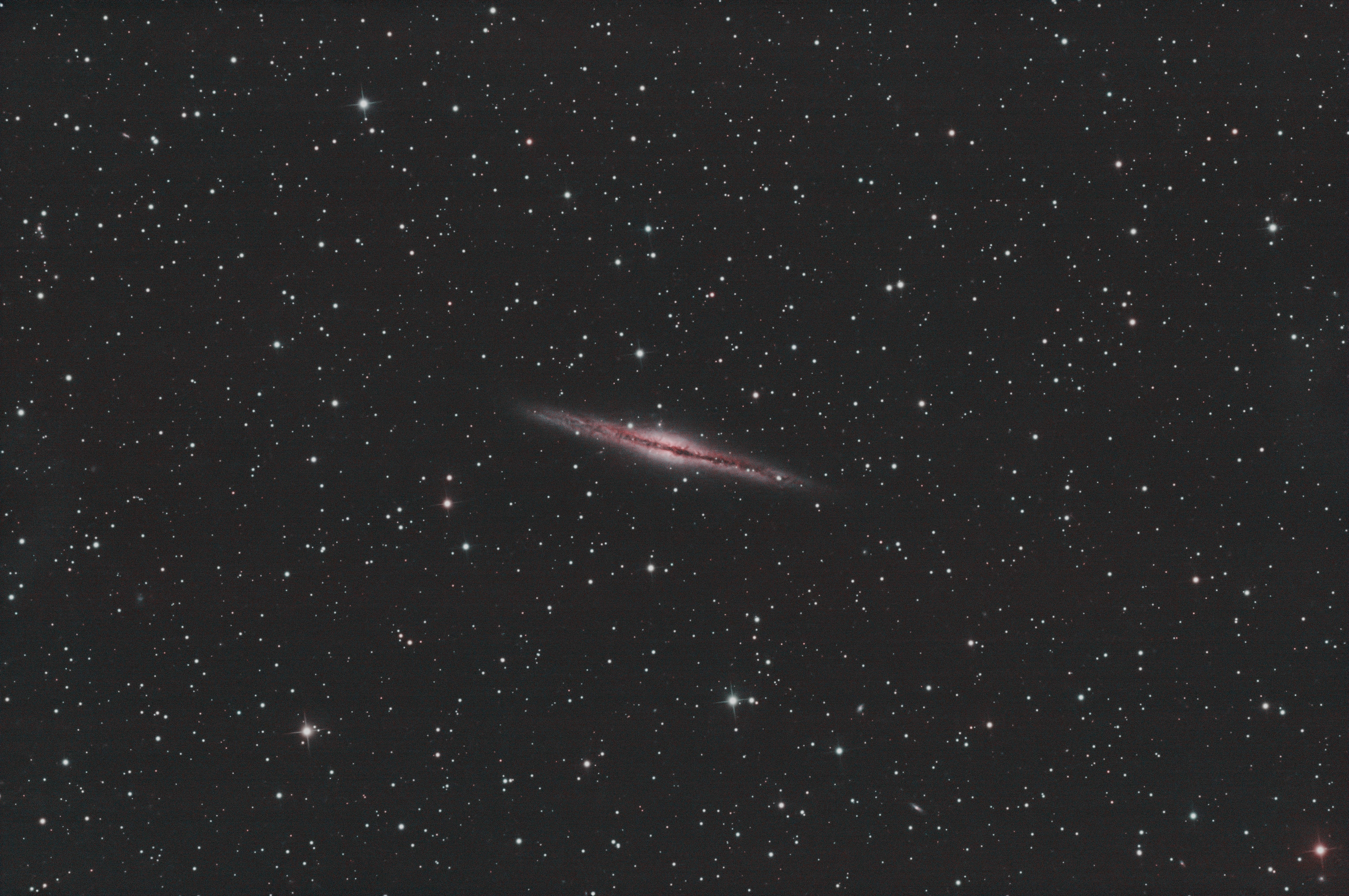 NGC   891