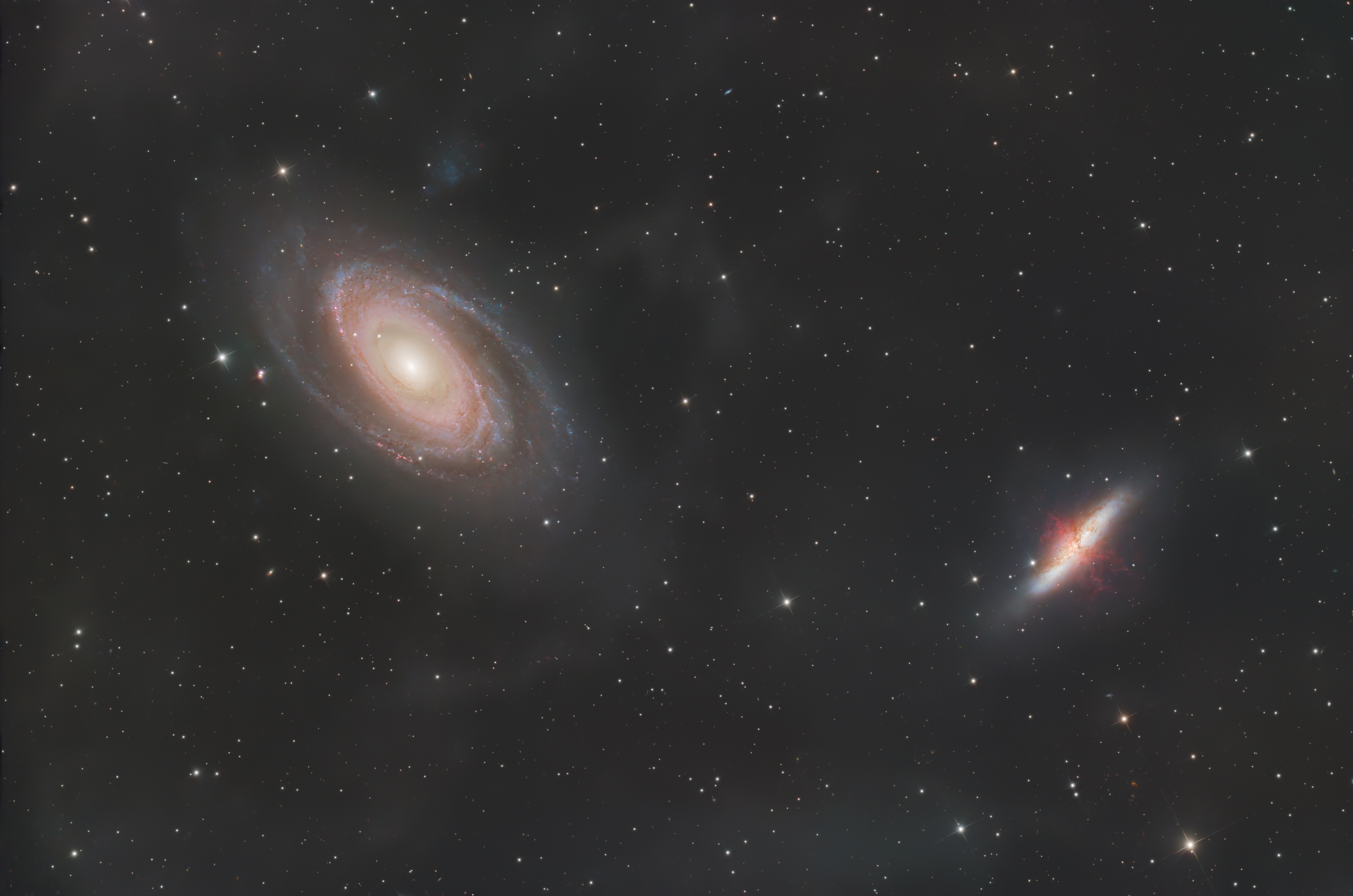 M  81